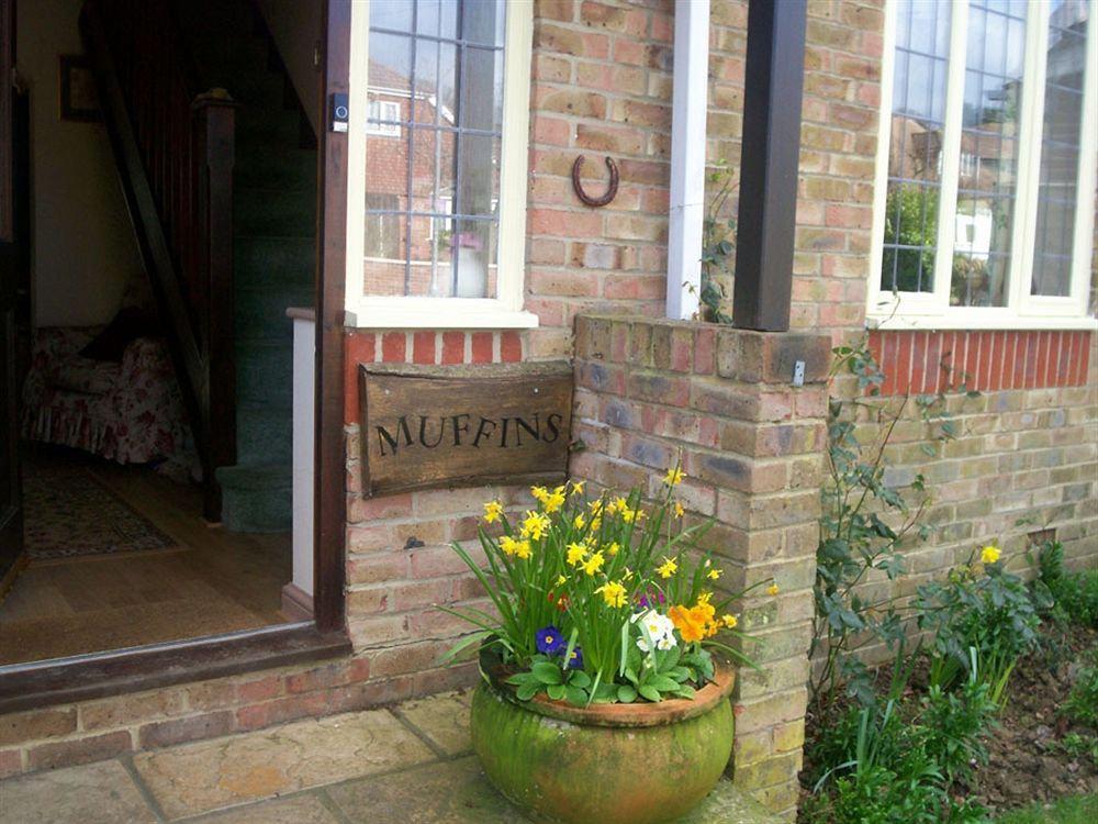 Muffins Bed & Breakfast Hastings Luaran gambar